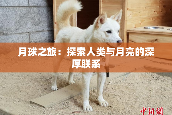 月球之旅：探索人类与月亮的深厚联系