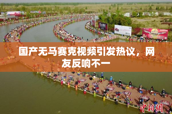 国产无马赛克视频引发热议，网友反响不一