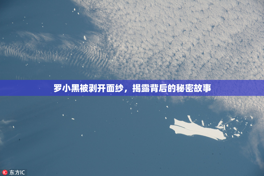 罗小黑被剥开面纱，揭露背后的秘密故事
