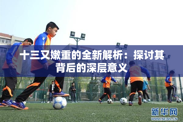 十三又嫩重的全新解析：探讨其背后的深层意义