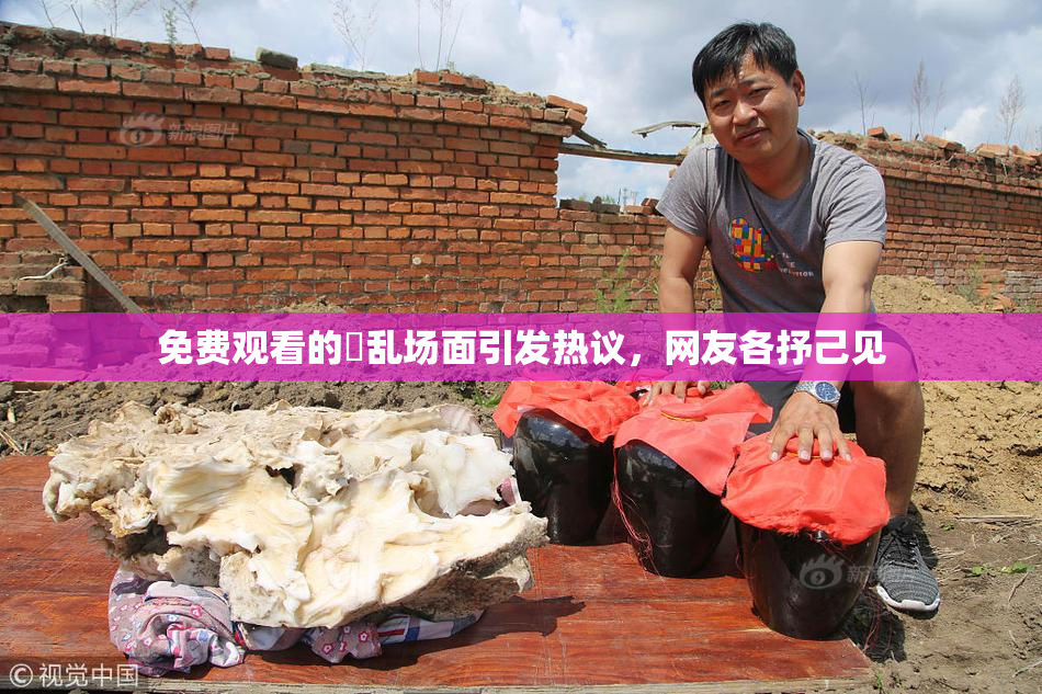 免费观看的婬乱场面引发热议，网友各抒己见