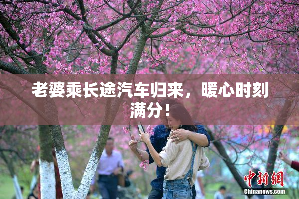 老婆乘长途汽车归来，暖心时刻满分！