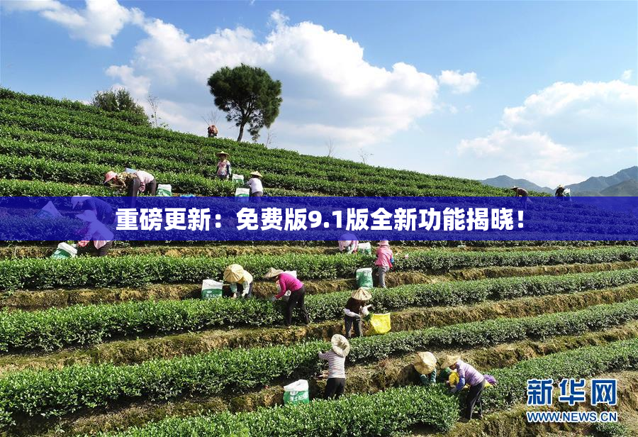 重磅更新：免费版9.1版全新功能揭晓！