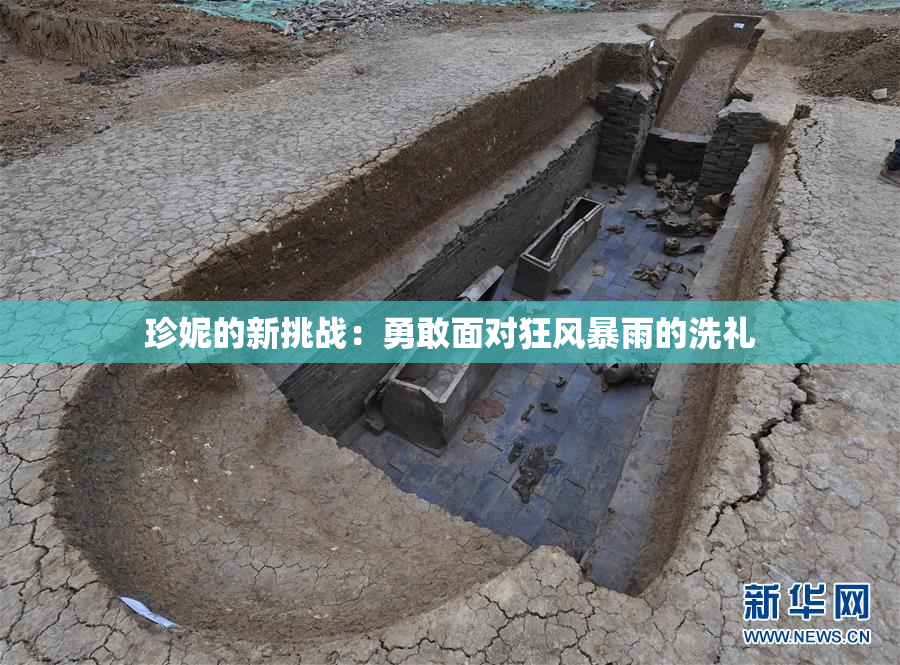 珍妮的新挑战：勇敢面对狂风暴雨的洗礼