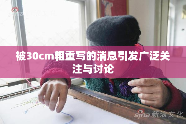被30cm粗重写的消息引发广泛关注与讨论