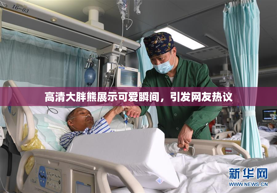 高清大胖熊展示可爱瞬间，引发网友热议