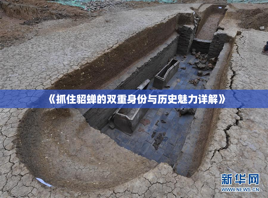 《抓住貂蝉的双重身份与历史魅力详解》