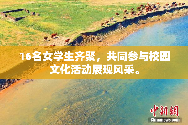 16名女学生齐聚，共同参与校园文化活动展现风采。