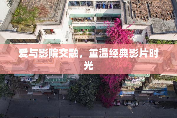 爱与影院交融，重温经典影片时光