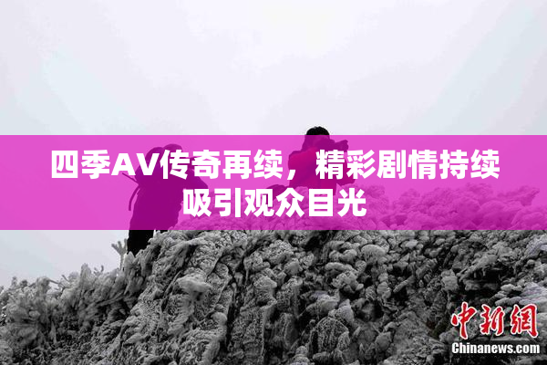 四季AV传奇再续，精彩剧情持续吸引观众目光