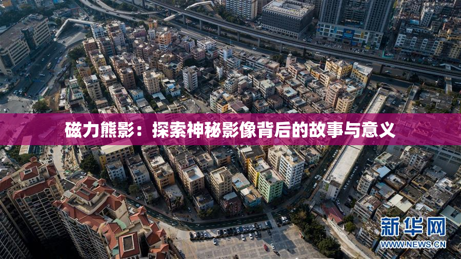 磁力熊影：探索神秘影像背后的故事与意义