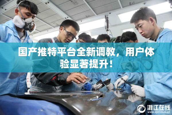 国产推特平台全新调教，用户体验显著提升！