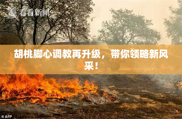 胡桃脚心调教再升级，带你领略新风采！