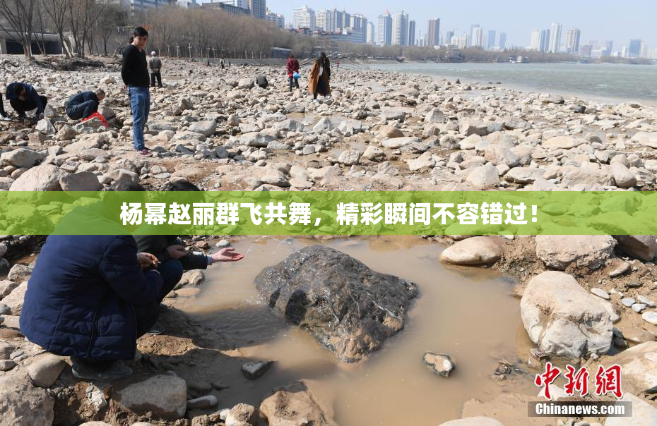 杨幂赵丽群飞共舞，精彩瞬间不容错过！