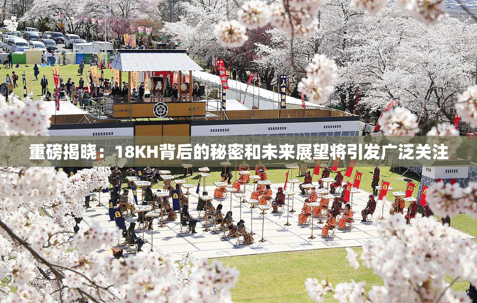 重磅揭晓：18KH背后的秘密和未来展望将引发广泛关注
