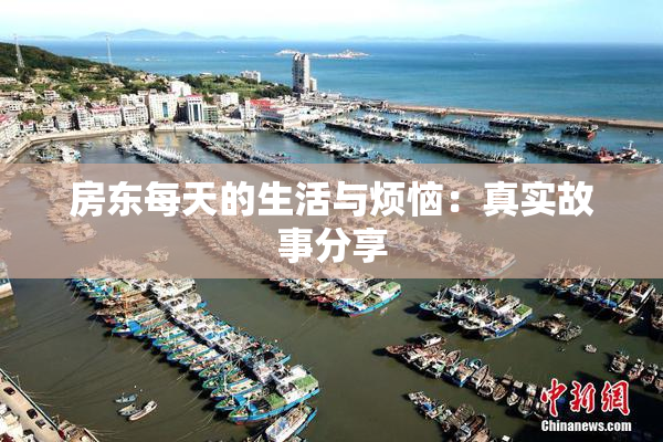 房东每天的生活与烦恼：真实故事分享