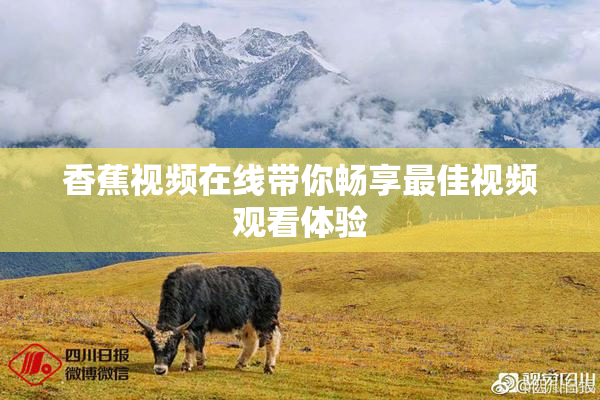香蕉视频在线带你畅享最佳视频观看体验