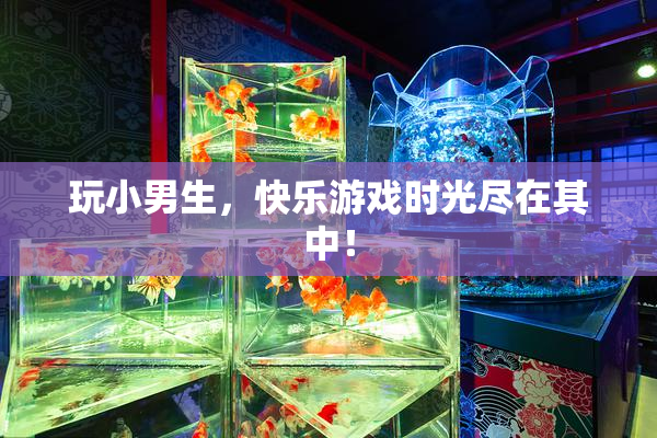 玩小男生，快乐游戏时光尽在其中！