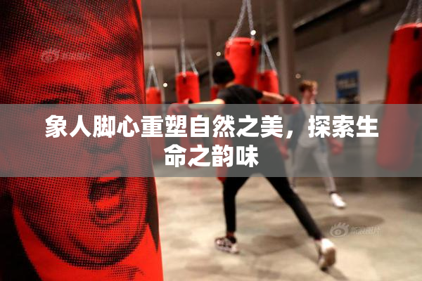 象人脚心重塑自然之美，探索生命之韵味