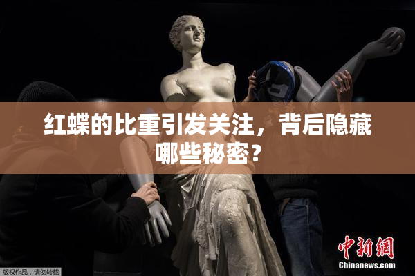 红蝶的比重引发关注，背后隐藏哪些秘密？