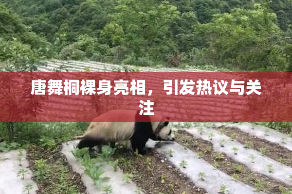 唐舞桐裸身亮相，引发热议与关注