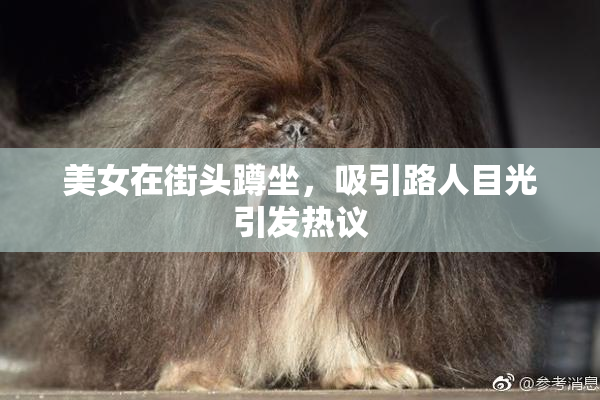 美女在街头蹲坐，吸引路人目光引发热议
