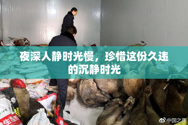 夜深人静时光慢，珍惜这份久违的沉静时光