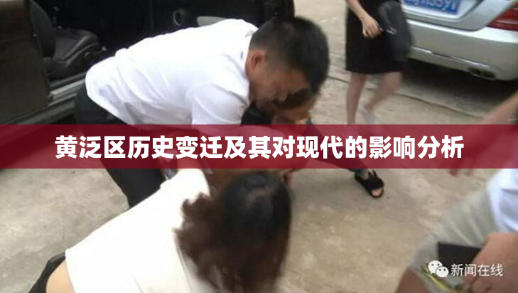 黄泛区历史变迁及其对现代的影响分析