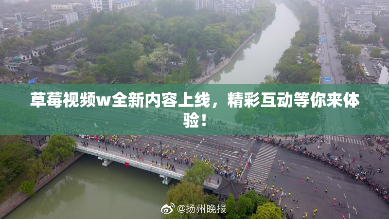 草莓视频w全新内容上线，精彩互动等你来体验！