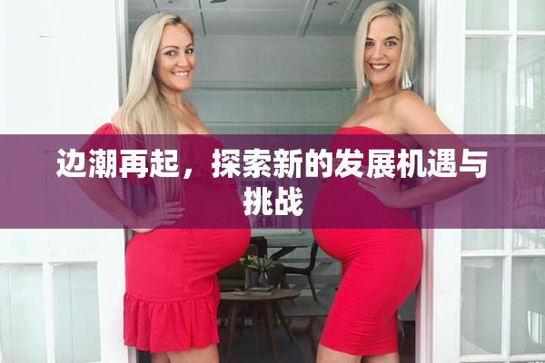 边潮再起，探索新的发展机遇与挑战