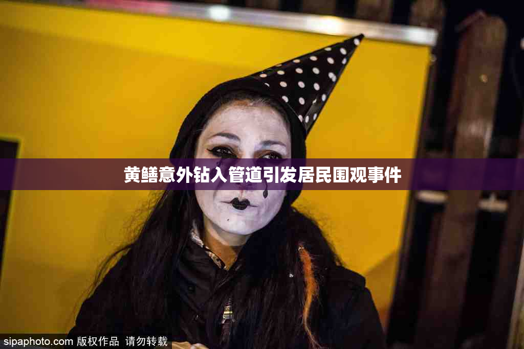 黄鳝意外钻入管道引发居民围观事件