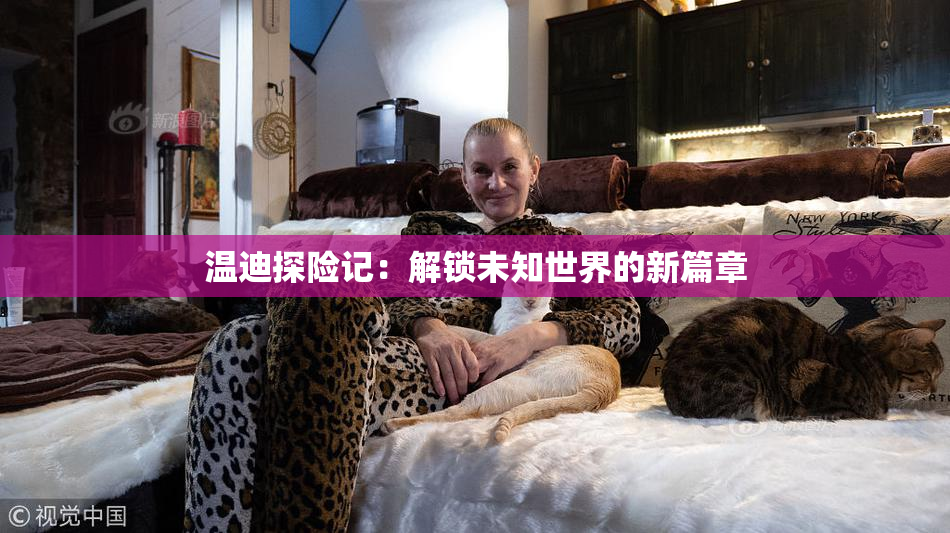 温迪探险记：解锁未知世界的新篇章