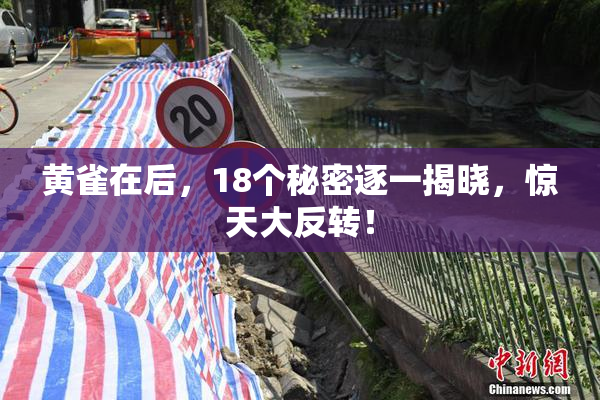 黄雀在后，18个秘密逐一揭晓，惊天大反转！