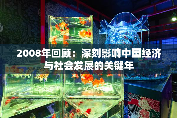 2008年回顾：深刻影响中国经济与社会发展的关键年