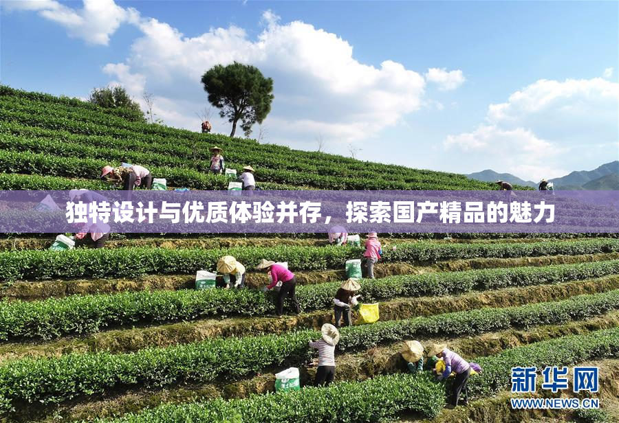 独特设计与优质体验并存，探索国产精品的魅力