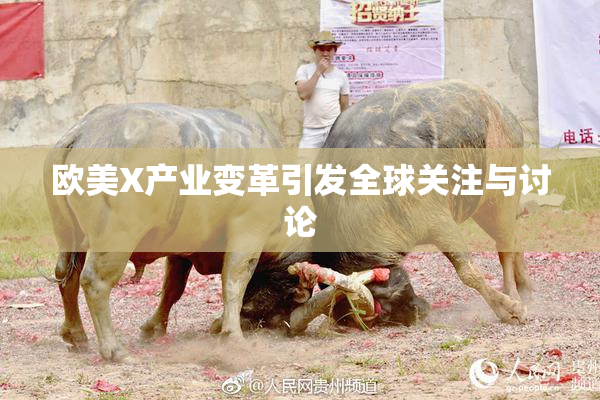 欧美X产业变革引发全球关注与讨论