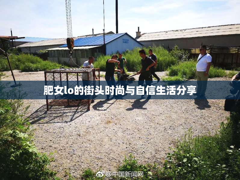 肥女lo的街头时尚与自信生活分享