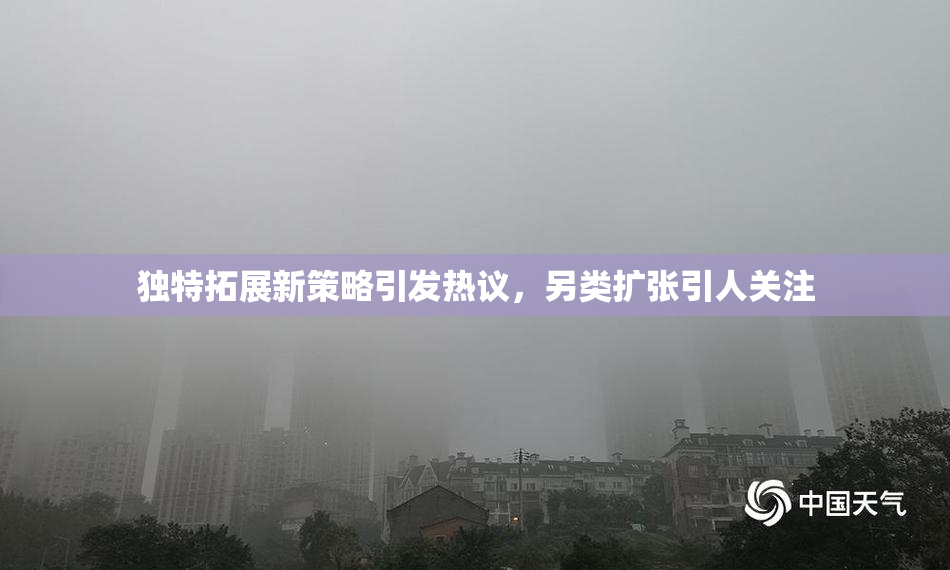 独特拓展新策略引发热议，另类扩张引人关注