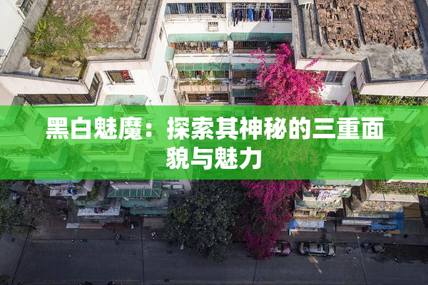 黑白魅魔：探索其神秘的三重面貌与魅力