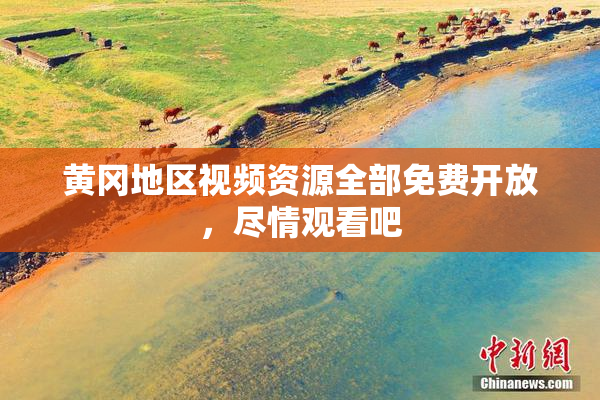 黄冈地区视频资源全部免费开放，尽情观看吧