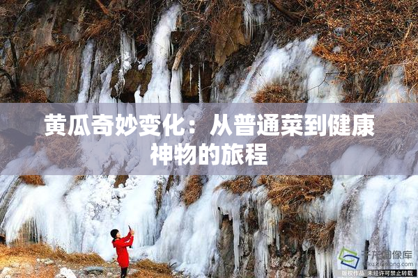 黄瓜奇妙变化：从普通菜到健康神物的旅程