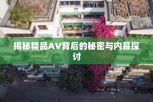 揭秘精品AV背后的秘密与内幕探讨