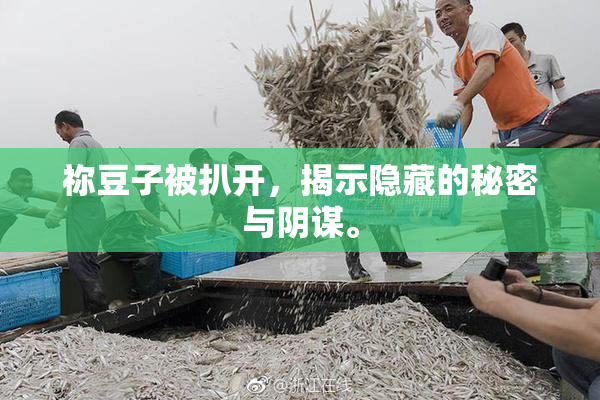 祢豆子被扒开，揭示隐藏的秘密与阴谋。