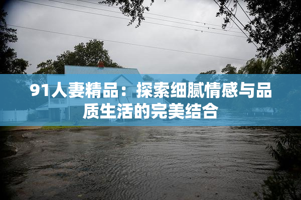 91人妻精品：探索细腻情感与品质生活的完美结合