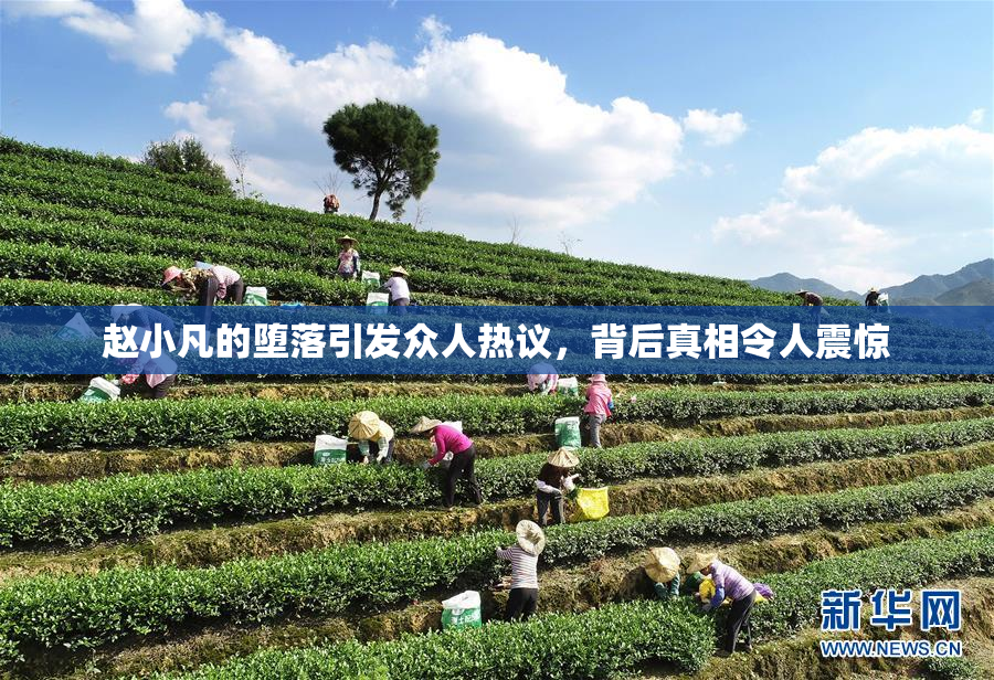 赵小凡的堕落引发众人热议，背后真相令人震惊