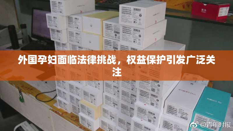 外国孕妇面临法律挑战，权益保护引发广泛关注