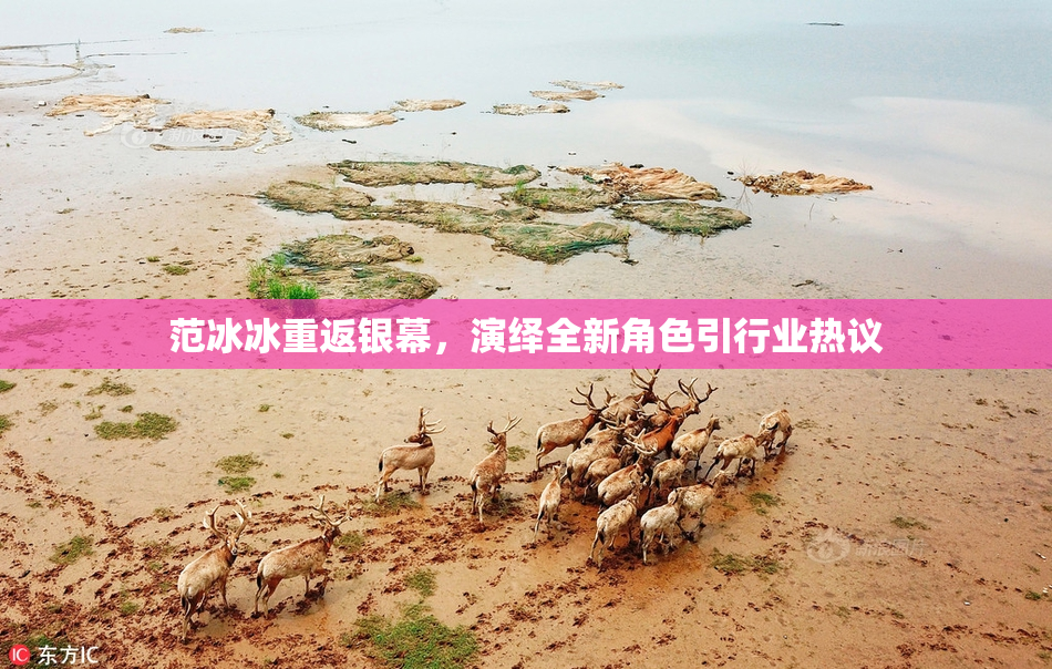 范冰冰重返银幕，演绎全新角色引行业热议