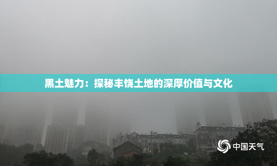 黑土魅力：探秘丰饶土地的深厚价值与文化