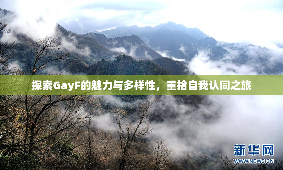 探索GayF的魅力与多样性，重拾自我认同之旅