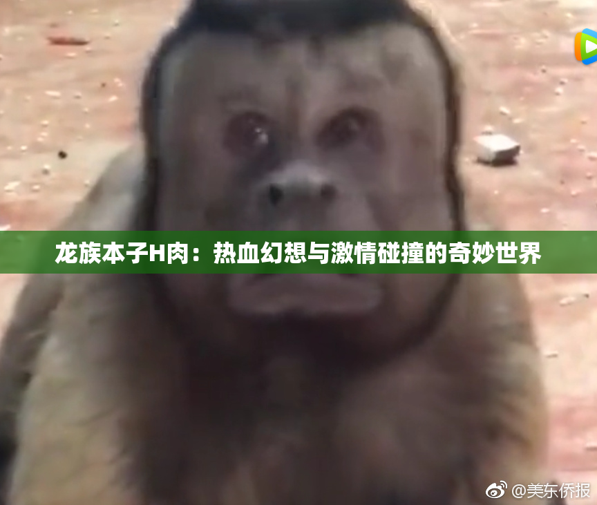 龙族本子H肉：热血幻想与激情碰撞的奇妙世界